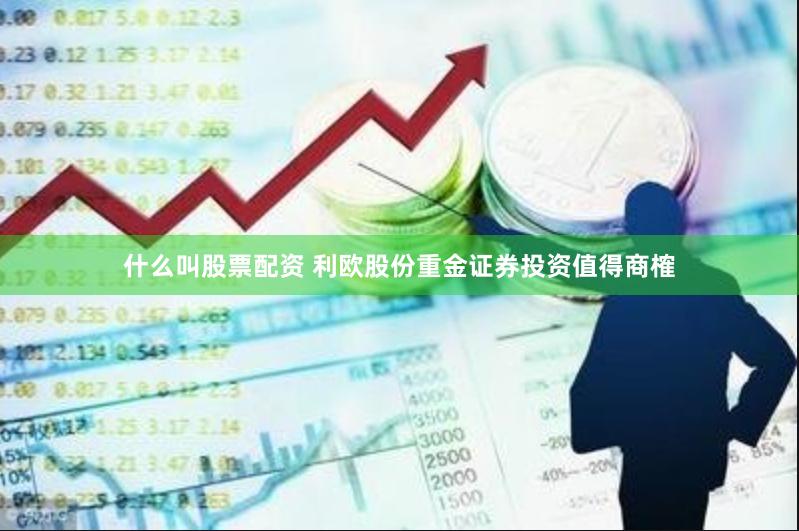 什么叫股票配资 利欧股份重金证券投资值得商榷